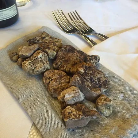 El Rustego 4*